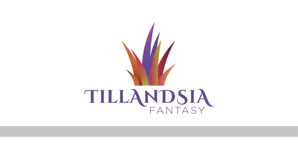 Tillandsia